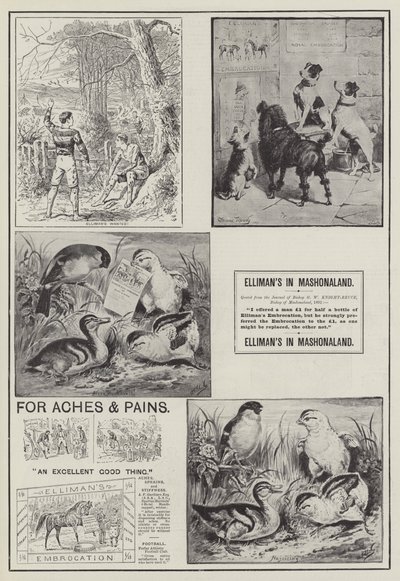 Advertisement, Elliman